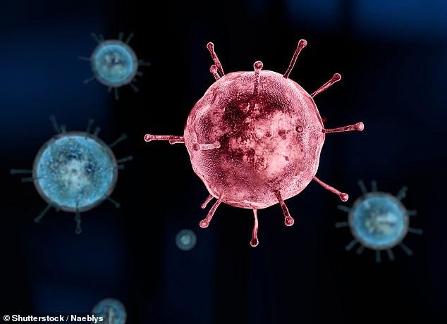 Mysterious new virus with unknown origin emerge in Brazil