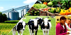 Unlocking productivity and investment opportunities across agribusiness value chain