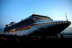61 coronavirus cases confirmed on cruise ship off Japan