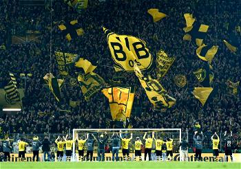 Dortmund rule out big signings as coronavirus hits finances