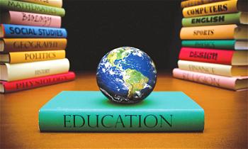 CHIKA OKORAFOR ANEKE: How COVID-19 will change education