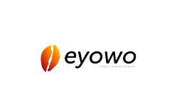 Eyowo to ease business operations in Nigeria with workshops