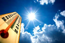 January 2020 warmest on record: EU climate service