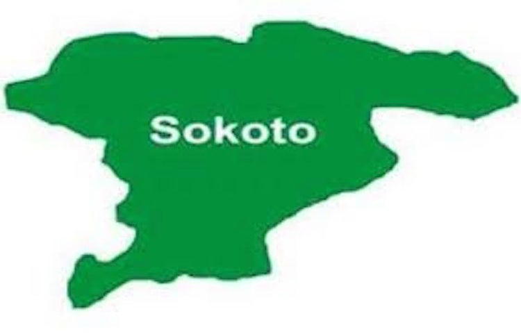 Kidnapped Sokoto students regain freedom