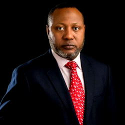 Herbal medicine production will hit $50bn by 2030 — Minister