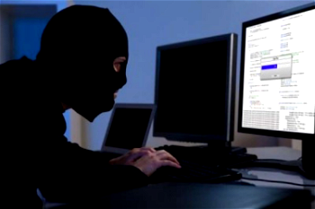 Cybercrime gang gives 100, 000 British companies staff ultimatum after mass hack