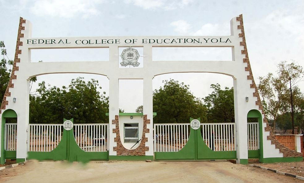 Federal College Of Education Lecturers Protest 6 Years Unpaid Allowances