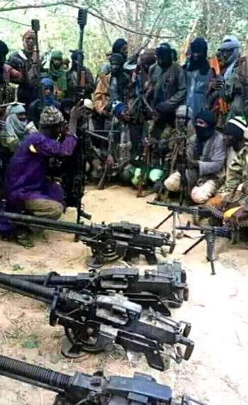 70-year-old woman leads hunters  to dislodge bandits in Niger