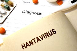 WHO says two hantavirus cases confirmed, five suspected on cruise ship