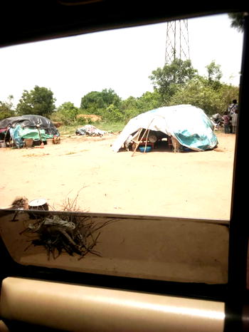 Fear in Ogun community over invasion of Fulani herdsmen