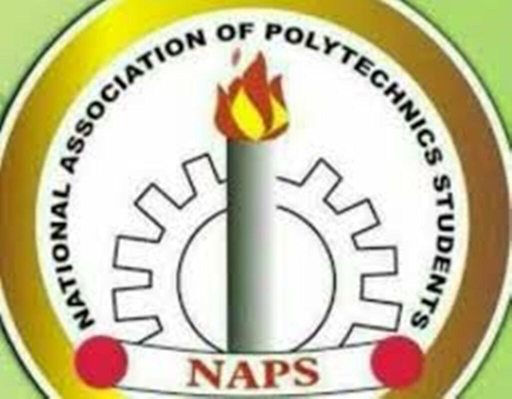 NAPS calls for fair fuel pricing, urges stakeholders to sustain recent price gains