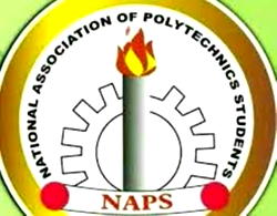 NAPS calls for fair fuel pricing, urges stakeholders to sustain recent price gains
