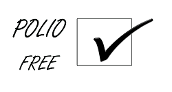 Nigeria steps up effort to sustain polio-free certification status
