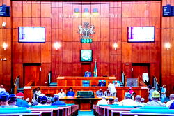 10th NASS: Tinubu needs strong, versatile Speaker like Betara to succeed – Group