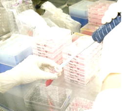 COVID-19: Moving samples from state to state is abnormal — Stakeholders