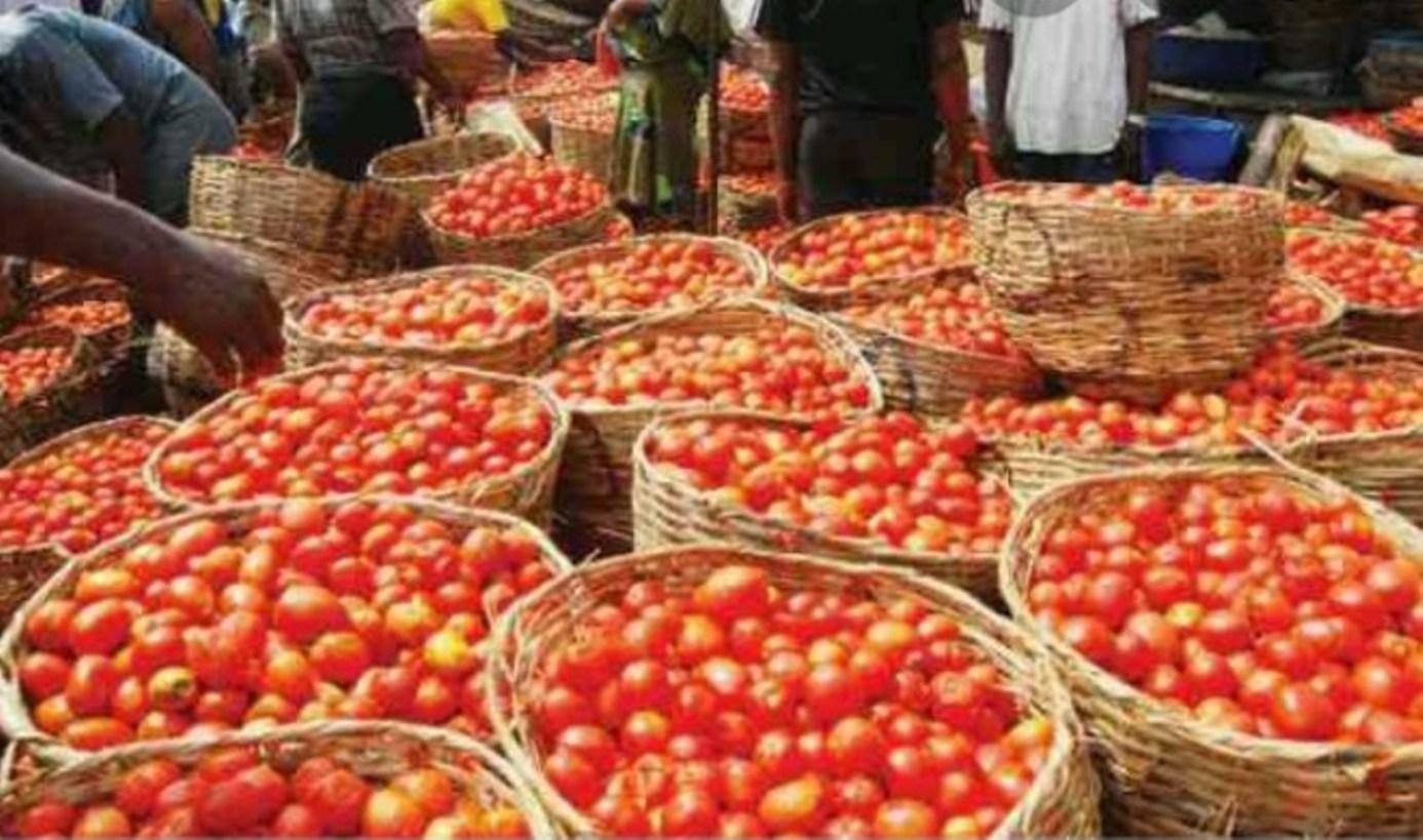 Mile 12 Market: How food blockade affected prices of tomato, pepper, onion