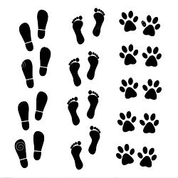 Every contact leaves a trace: The basis of forensics