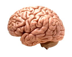 Anything robbing you of your brain?