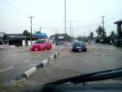 Rain wrecks havoc, destroys houses ,economic trees in Calabar