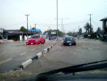 Rain wrecks havoc, destroys houses ,economic trees in Calabar