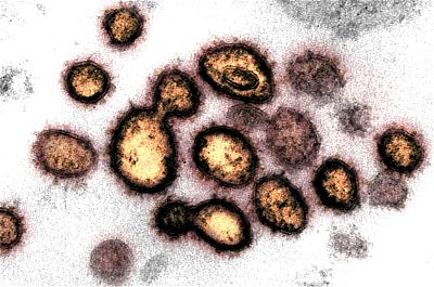 Swiss coronavirus death toll rises to 373, positive tests hit 16,176