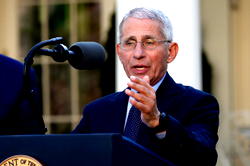 Dr. Anthony Fauci says it’s likely coronavirus will become ‘seasonal’