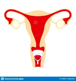Expert tasks Nigerians on menstrual health awareness