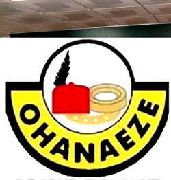 Make laws for a truly independent INEC, Ohanaeze tells Senate