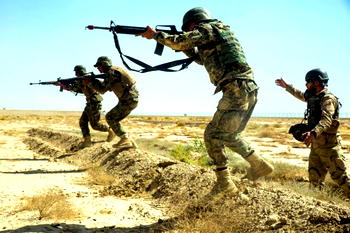 Afghan forces arrest regional IS leader