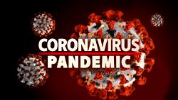 Deaths from coronavirus across globe top 800,000