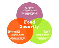 COVID-19: Maintaining food security in crisis situations