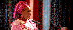Stop creating room for FG’s embarrassment with litigations,  perm secs, CEOs warned