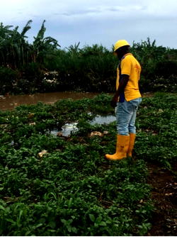 Again, emergency team averts petroleum pipeline explosion in Lagos