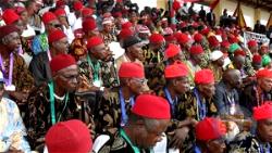 2023: Uzodinma, Ngige, Nnamani, others meet, vow Igbo united front