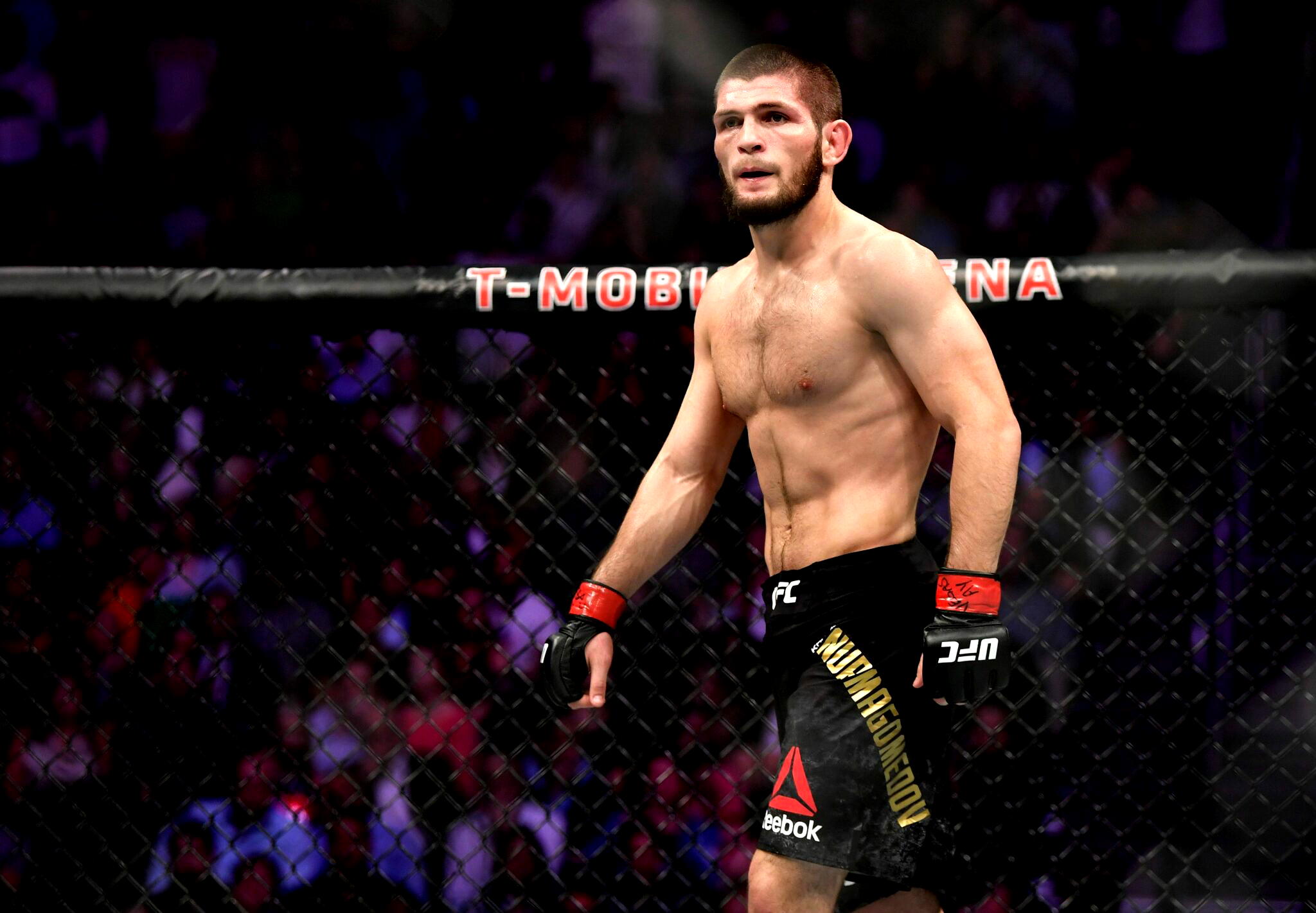 Khabib won't fight in UFC 249 - Vanguard News