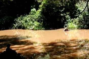 Dead body found floating on Osun river