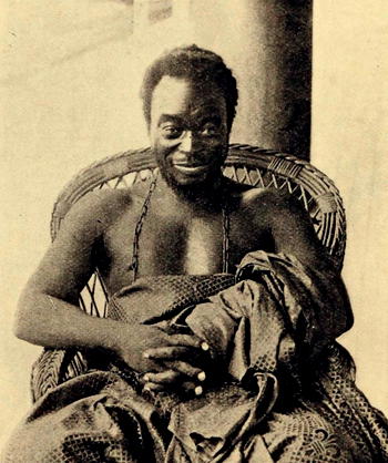 The role of traditional rulers – Sanusi the genius: A case study (3)