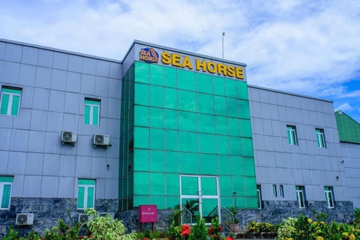 Seahorse