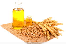CBN intervenes in wheat production, multiplies 13,000MT seeds
