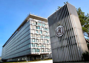 World Health Day: WHO pays tribute to health workers battling COVID-19