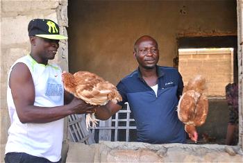 COVID-19: Ariyomo hands out chickens, cash, sanitizers to constituents