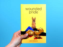 How Mmobuosi’s book, Wounded Pride x-rays Boko Haram insurgency and Nigeria’s response
