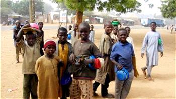 COVID-19: 14 more almajiris repatriated from Kano test positive in Kaduna
