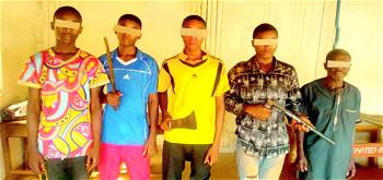 ENUGU: Teenagers among 16 notorious criminals in police net