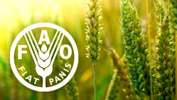 FAO, stakeholders reel out 10 recommendations to boost agri-food systems in West Africa, Sahel