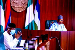 FEC okays N2.9bn for National Oil & Gas Park