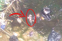 Foetus dumped in sewage in Osogbo