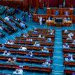 BREAKING: Electoral Bill: Reps minority caucus stages walkout from plenary
