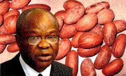 COVID-19: Iwu restates efficacy of herbal medicine
