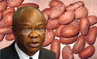 Herbal medicine suffers from  poor disposition to local products — Professor Iwu
